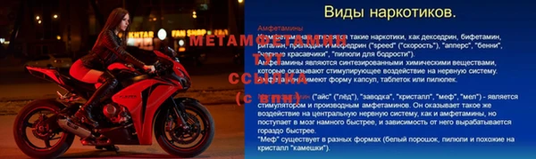 ПСИЛОЦИБИНОВЫЕ ГРИБЫ Алексин