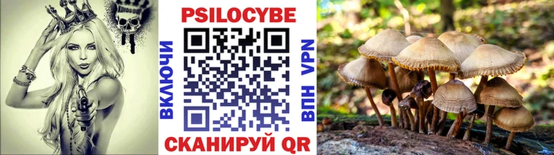 где найти наркотики Козловка кракен сайт Псилоцибиновые грибы прущие грибы